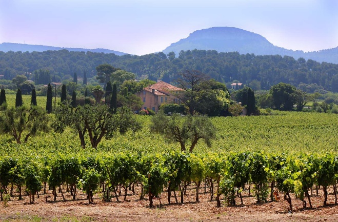 Winery Domaine Bodin
